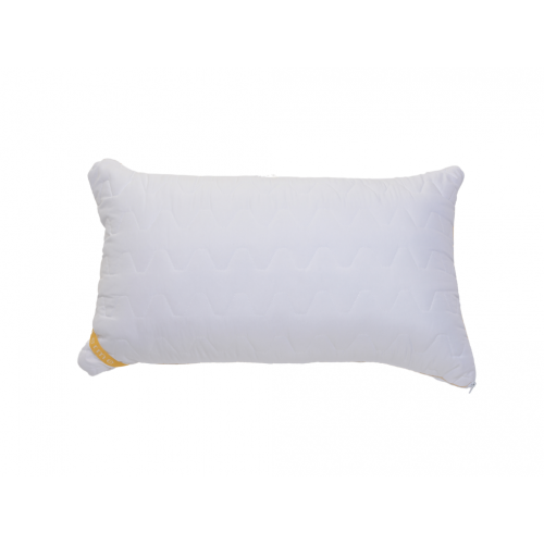 OREILLER  MESIDOR FERME